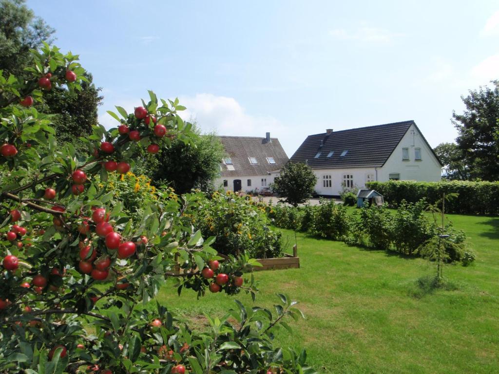 Ruhetgaard Holiday Apartment Ærøskøbing Habitación foto